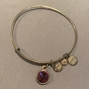Alex and Ani February Birthstone Charm Bangle, Amethyst